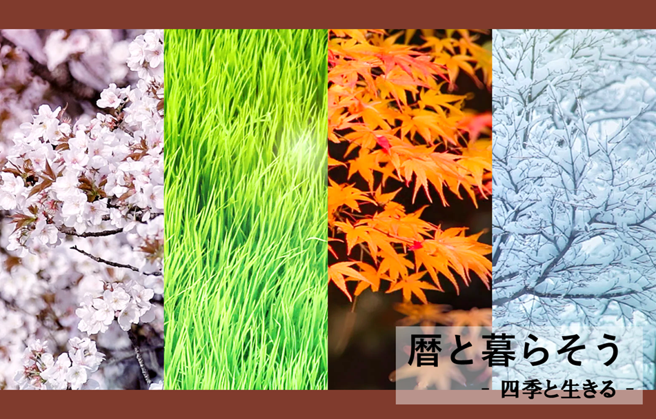 公式】ツムラオンラインショップ